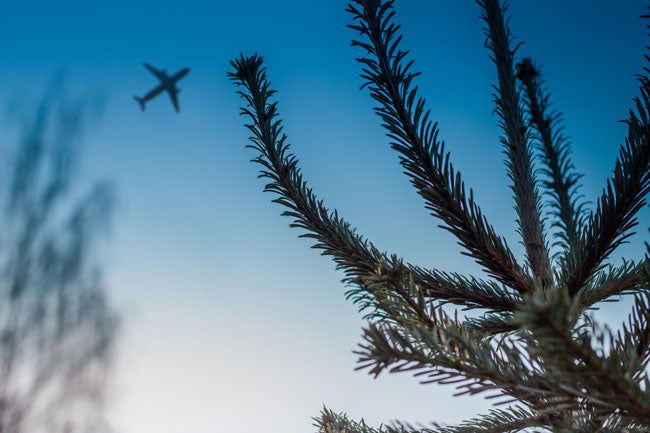Christmas Miracle - plane in the sky in winter