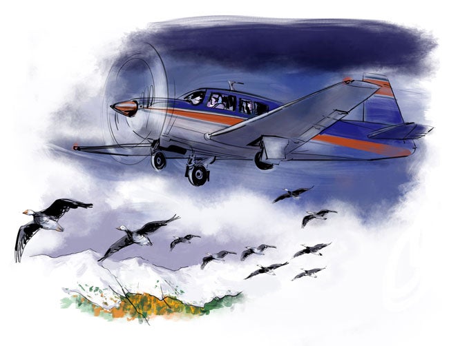 Plane & Pilot is looking for reader stories