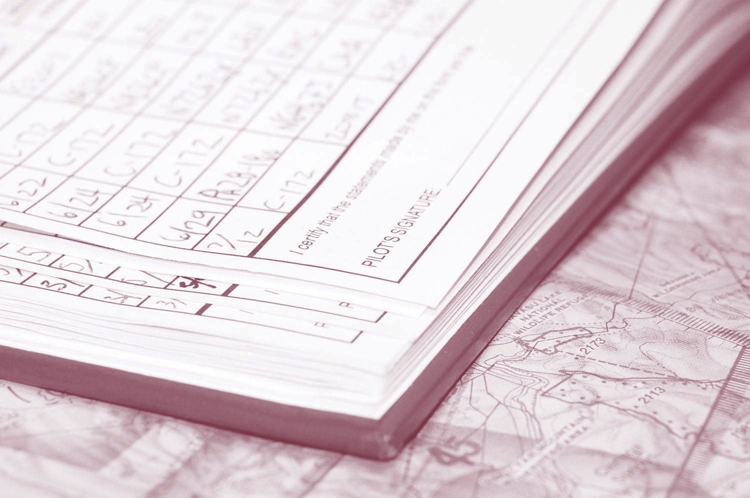 Pilot Certificate
