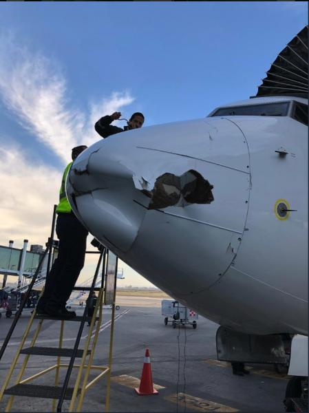 Airliner possibly hit by drone.