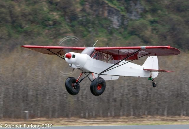 Lukas Stutzer's Piper PA-18