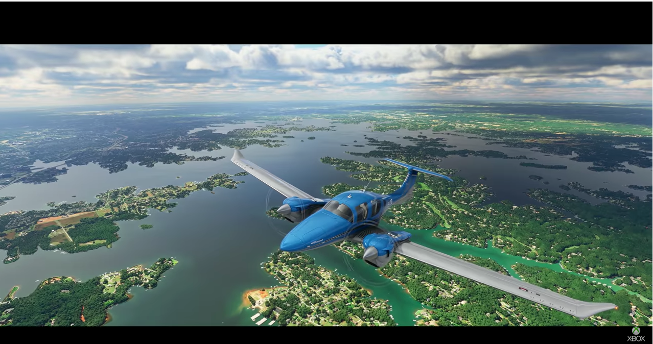 Miscrosoft Flight Sim