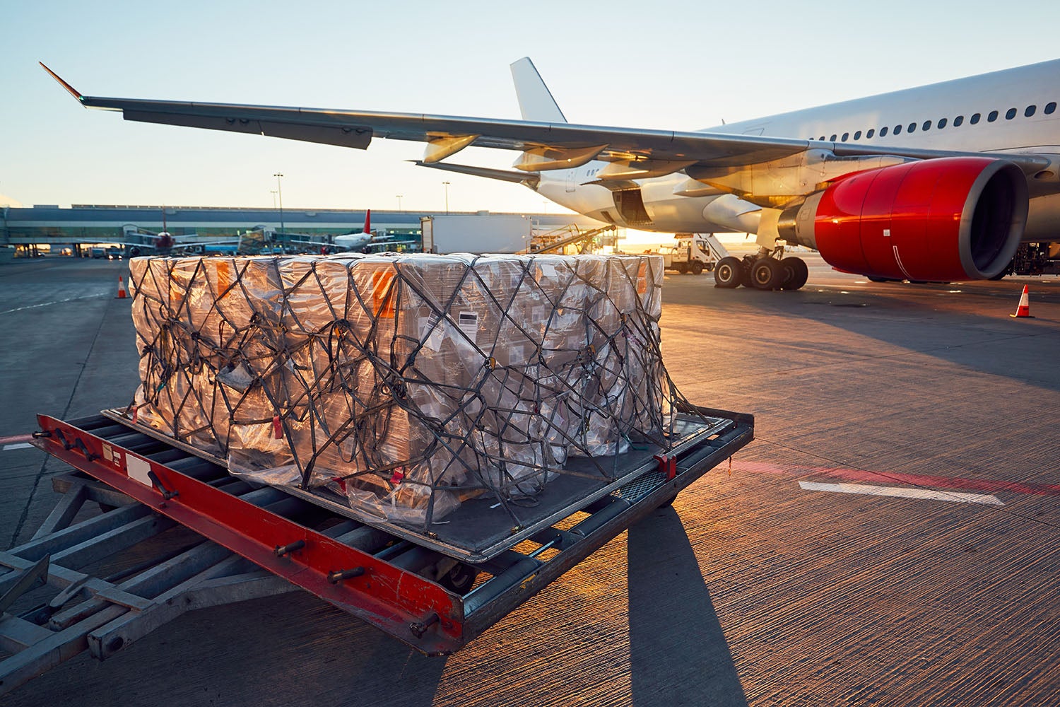 Flight attendants are being asked to watch boxes on cargo flights.