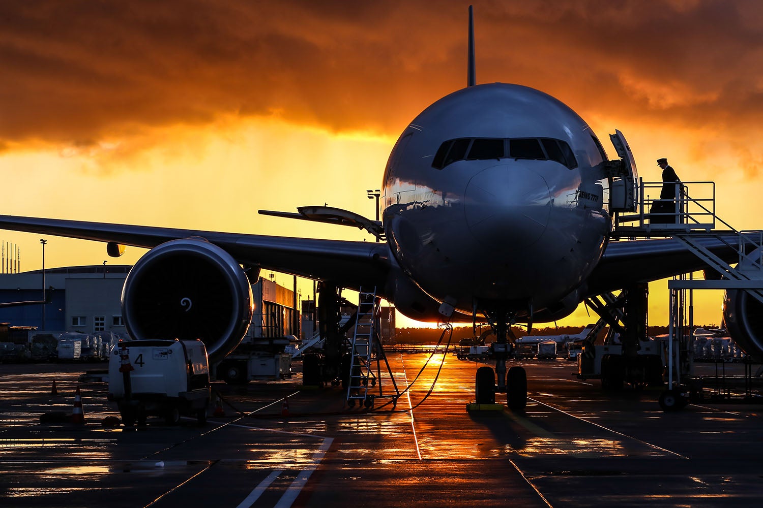 Aviation as a career.
