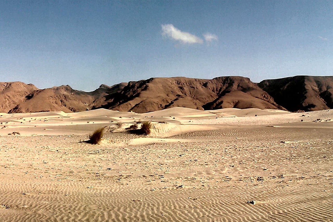 A desert scene in Somaliland. Photo courtesy of Wikimedia Commons