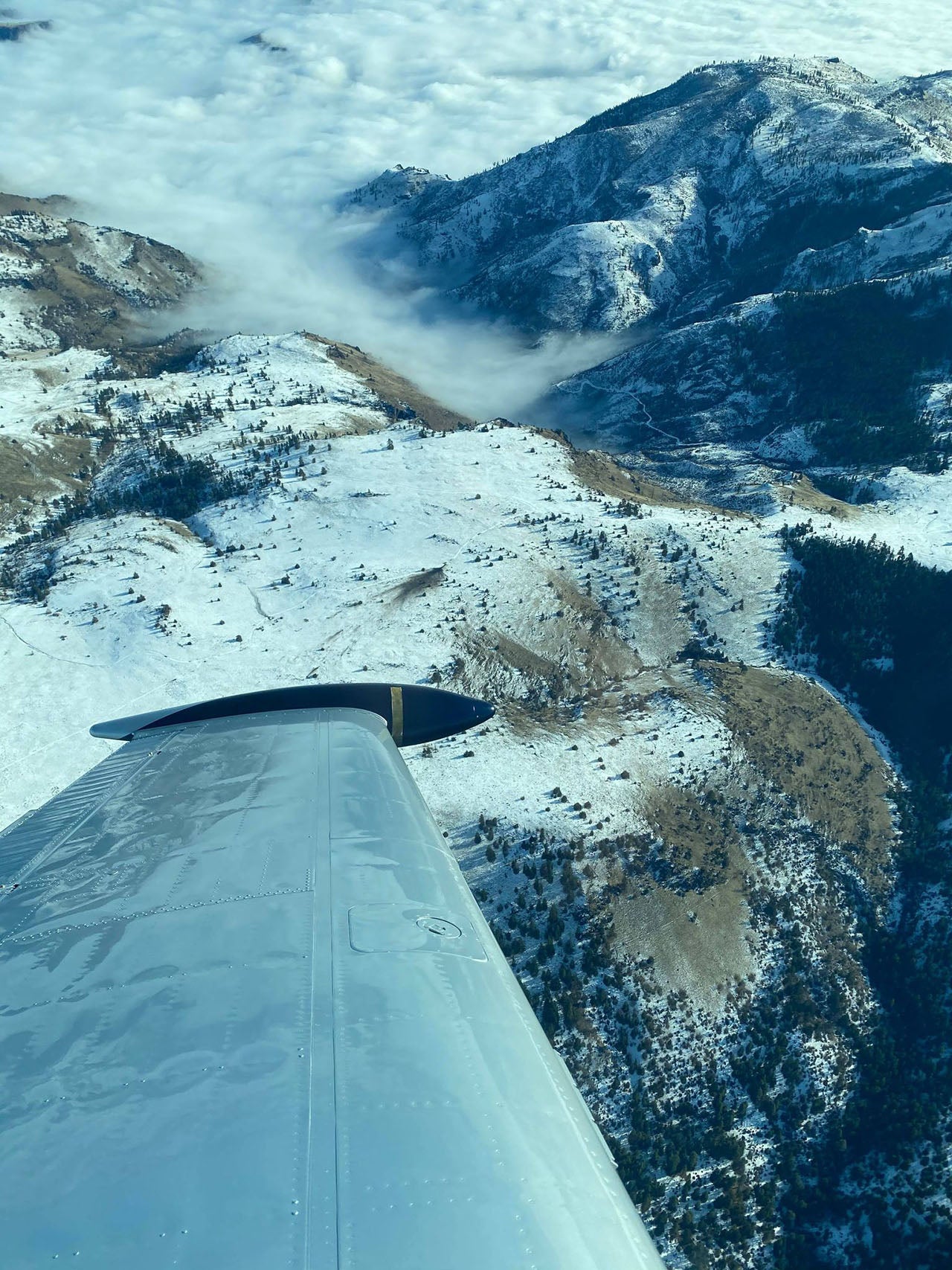 Photo of a Citation crash site in Oregon. Courtesy of John Parker