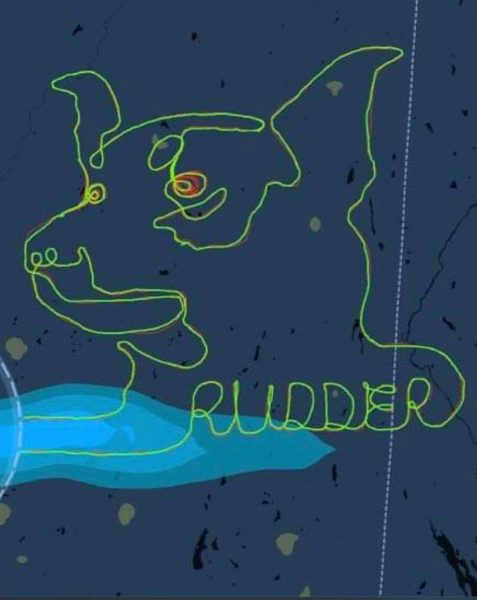 Our Photo of the Week is an incredibly detailed drawing of a good dog named Rudder required, time, planning and some fancy flying, too. 