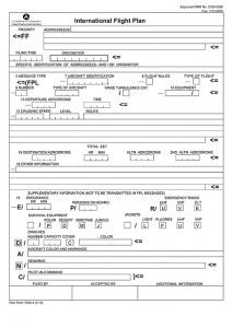 International Flight Plan