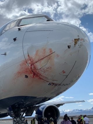 utah-jazz-team-jet-hits-bird
