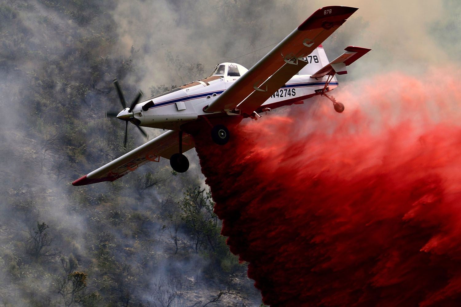 Containing the Flames by Michael Morse
