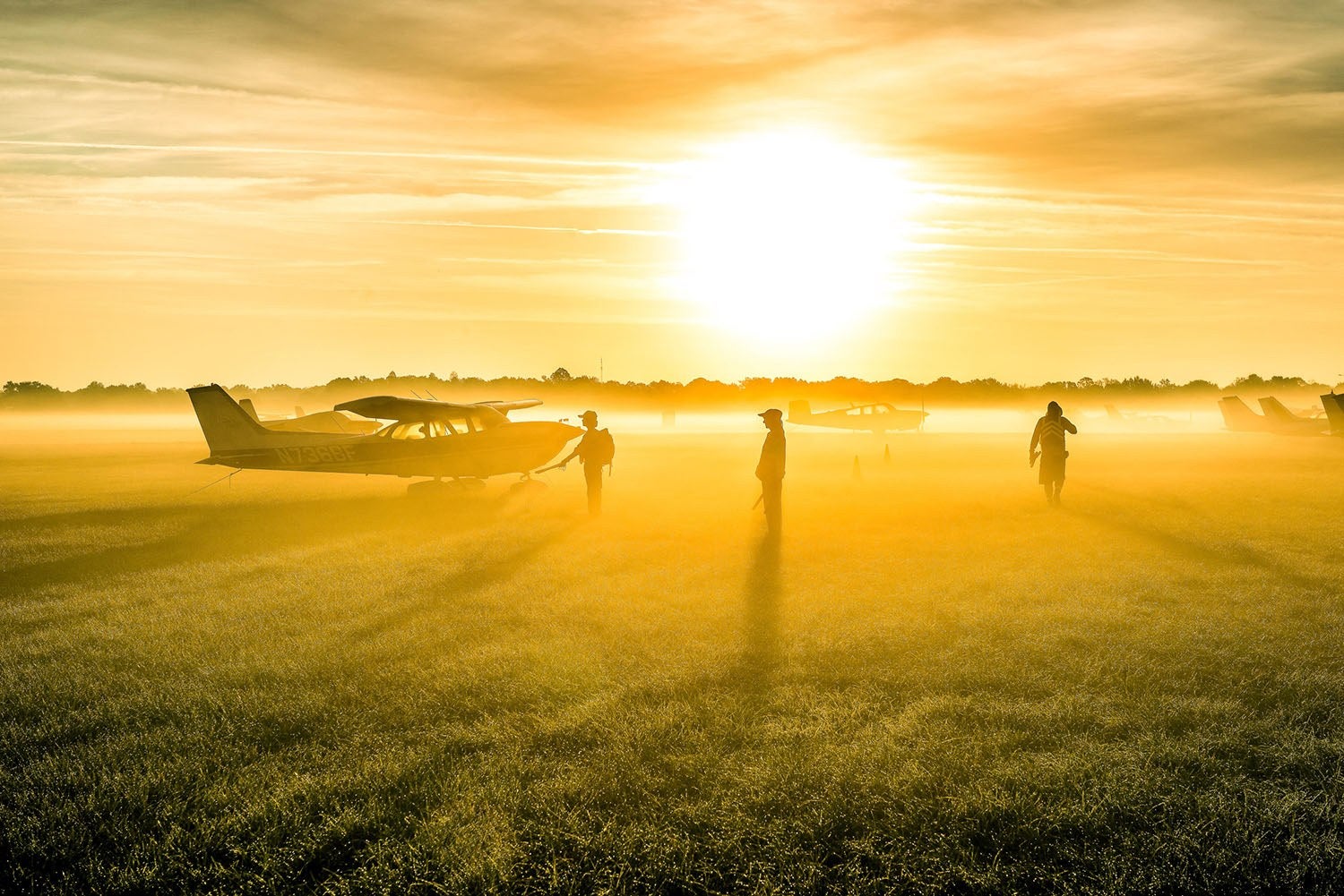 "Early Bird Gets the Best Parking" by Brent Clark