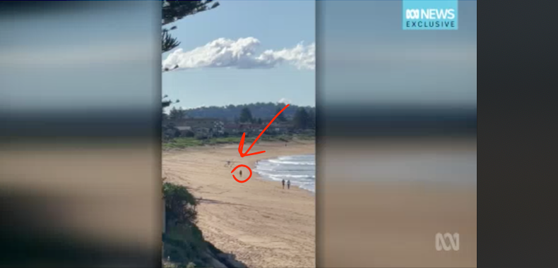 A screenshot of a plane making a no-engine beach landing.