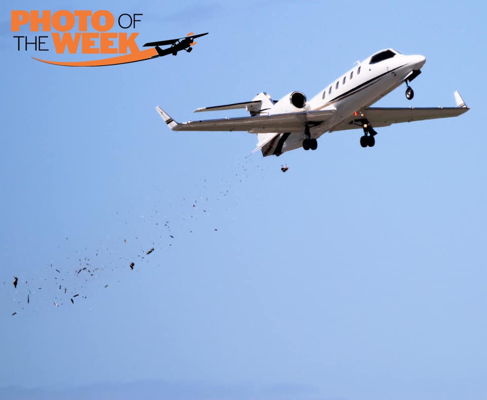 Learjet Bird Strike