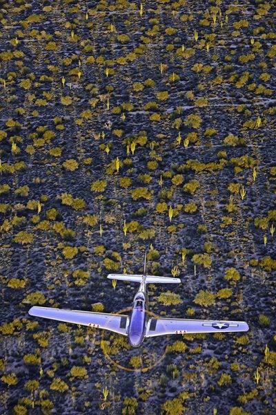 P-51, Arizona Sunset Richard King - 2021 Your Flying World