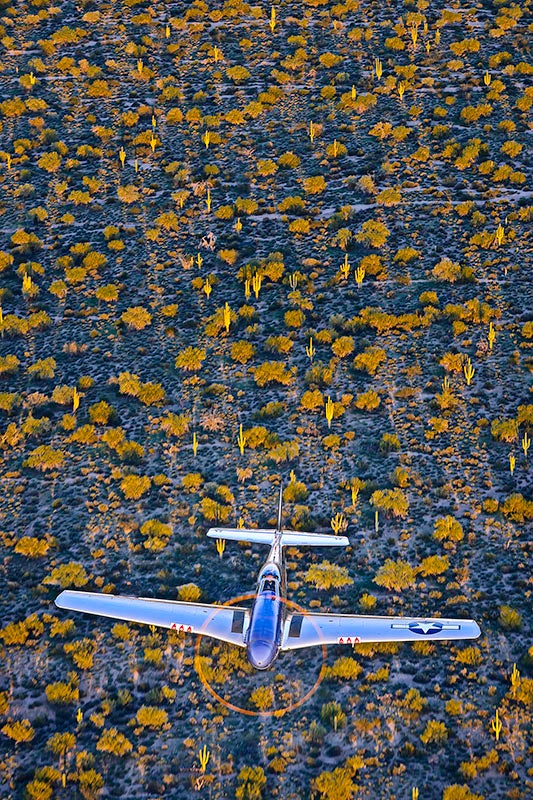 P-51, Arizona Sunset Richard King - 2021 Your Flying World
