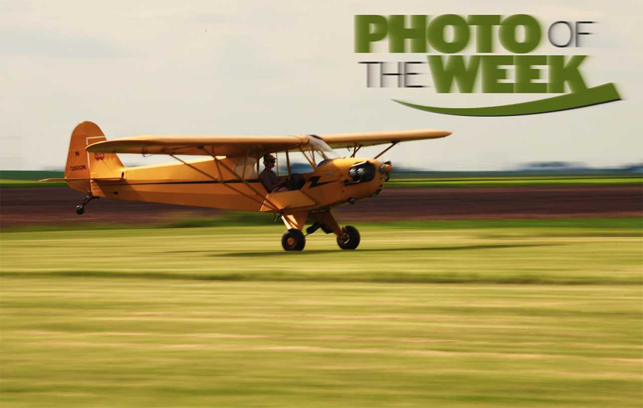 Photo of the Week: Timeless Cub
