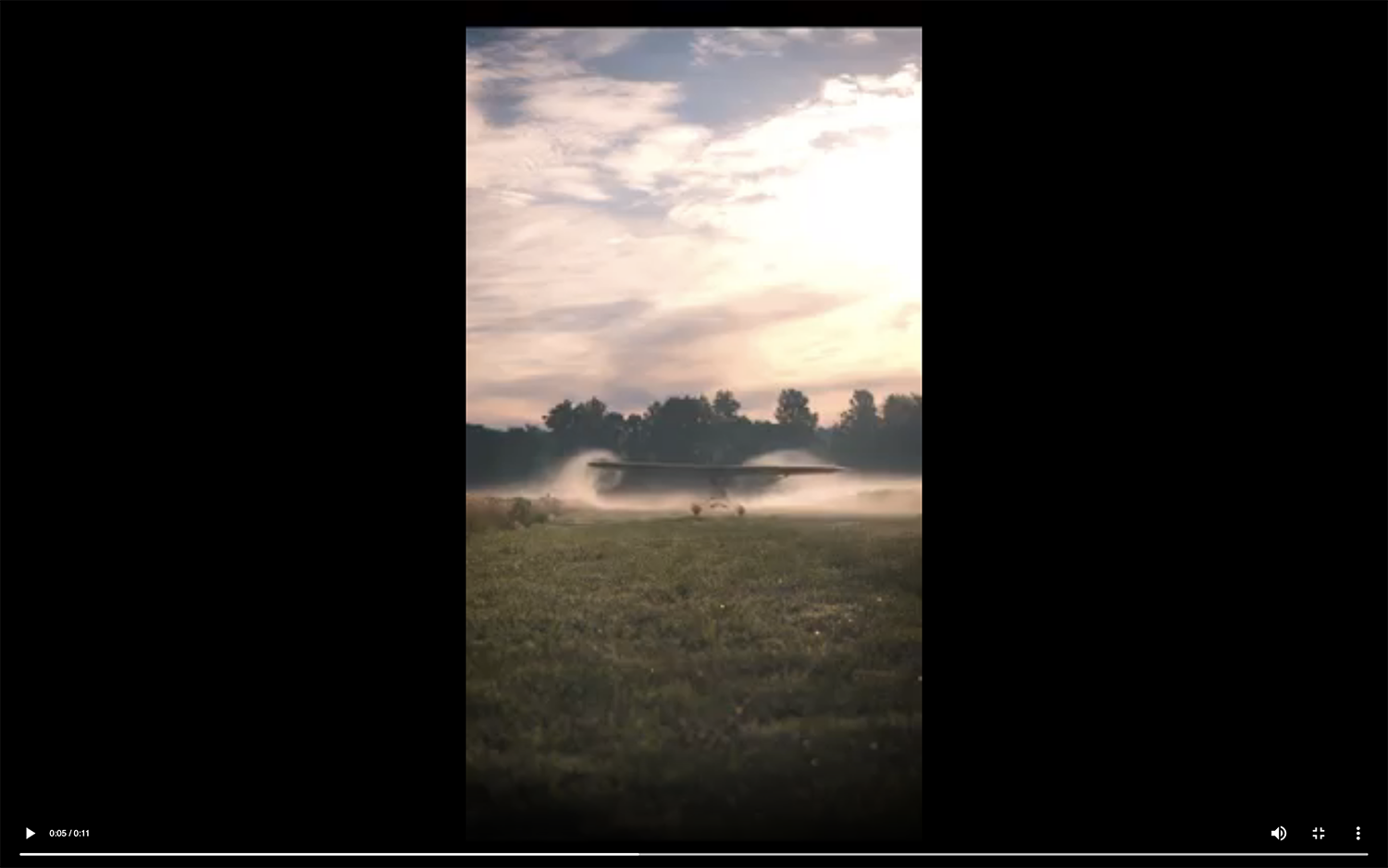 Cub Vortices in the Mist
